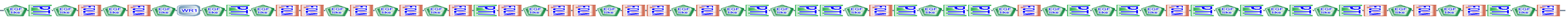 EGF_like PTI EGF_like FOLN EGF_like FOLN EGF_like WR1 EGF_like PTI EGF_like FOLN FOLN EGF_like FOLN EGF_like FOLN EGF_like FOLN PTI FOLN EGF_like FOLN FOLN EGF_like FOLN FOLN EGF_like FOLN EGF_like PTI EGF_like PTI PTI EGF_like FOLN PTI EGF_like PTI PTI EGF_like FOLN EGF_like PTI EGF_like PTI EGF_like FOLN PTI EGF_like PTI EGF_like PTI EGF_like PTI FOLN EGF_like FOLN EGF_like FOLN PTI EGF_like FOLN