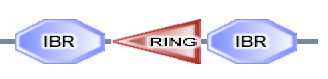 IBR RING IBR