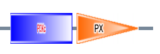 PI3Kc PX