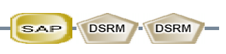 SAP DSRM DSRM