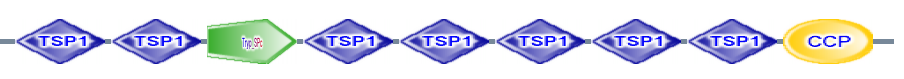 TSP1 TSP1 Tryp_SPc TSP1 TSP1 TSP1 TSP1 TSP1 CCP