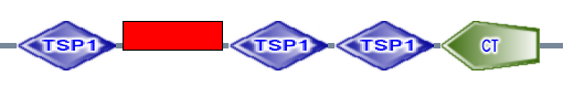 TSP1 VWC_def TSP1 TSP1 CT