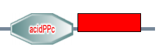 acidPPc smallGTPase