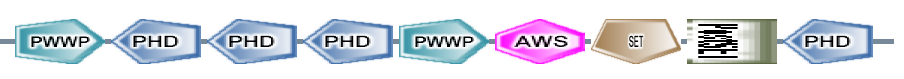 PWWP PHD PHD PHD PWWP AWS SET PostSET PHD