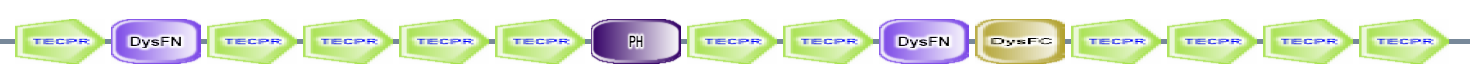 TECPR DysFN TECPR TECPR TECPR TECPR PH TECPR TECPR DysFN DysFC TECPR TECPR TECPR TECPR