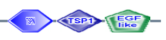 TSPN TSP1 EGF_like