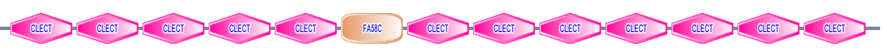 CLECT CLECT CLECT CLECT CLECT FA58C CLECT CLECT CLECT CLECT CLECT CLECT CLECT