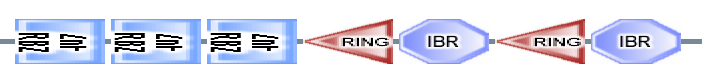 ZnF_RBZ ZnF_RBZ ZnF_RBZ RING IBR RING IBR