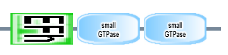 EFh small_GTPase small_GTPase